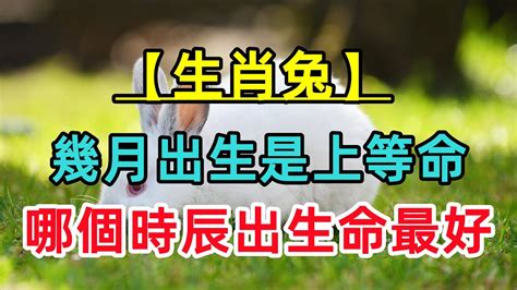 屬兔幾月生好|12生肖農曆幾月出生命最好——生肖兔